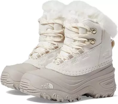 Зимние ботинки Shellista V Lace WP The North Face, цвет Gardenia White/Silver Grey