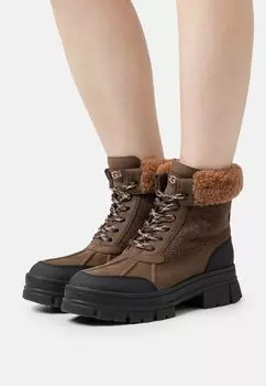 Зимние ботинки UGG ASHTON ADDIE TIPPED, цвет dark earth
