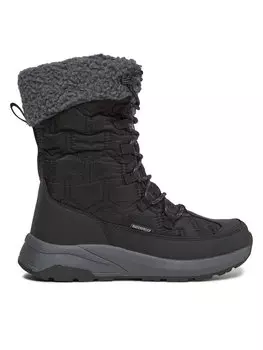 Зимние ботинки Whistler, черный