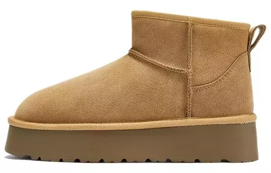 Зимние ботинки женские Daphne