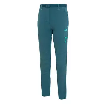 Зимние брюки для горных и походных прогулок, для занятий в холодную погоду, Ms. BALTIC W FW Izas, цвет grau