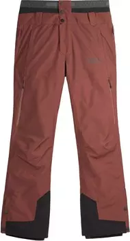 Зимние брюки Object — мужские Picture Organic Clothing, фиолетовый