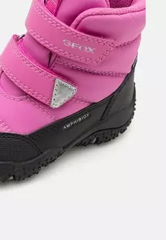 Зимние сапоги BALTIC GIRL ABX Geox, фиолетовый