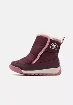 Зимние сапоги CHILDRENS WHITNEY II PLUS BOOTIE WP UNISEX Sorel, фиолетовый