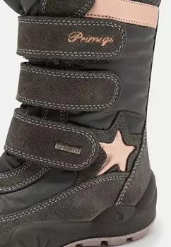 Зимние сапоги Primigi, серый