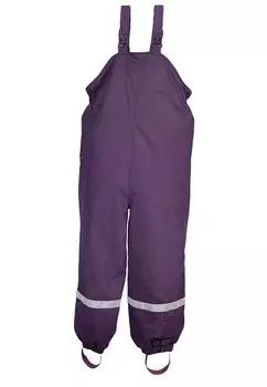 Зимние штаны BMS, цвет pflaume