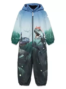 Зимний комбинезон Molo Polar, синий