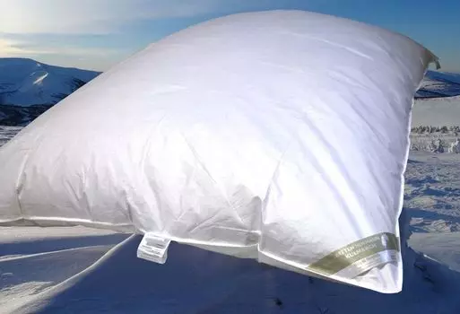 Зимняя кровать пуховое пуховое одеяло шейкер 155х200 см 2300г Betten Hofmann