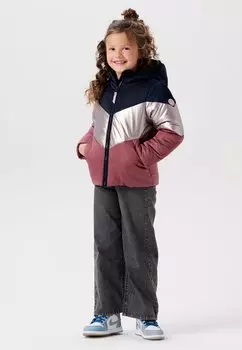 Зимняя куртка Alachua Noppies, цвет black iris