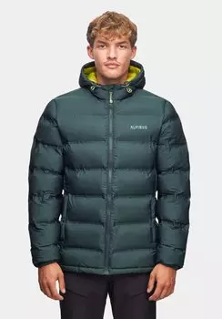 Зимняя куртка Alpinus, зеленый