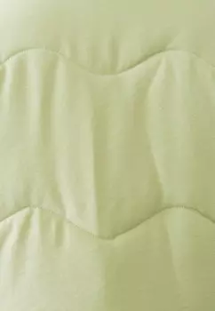 Зимняя куртка AMELIA THE FATED, светло-зеленый