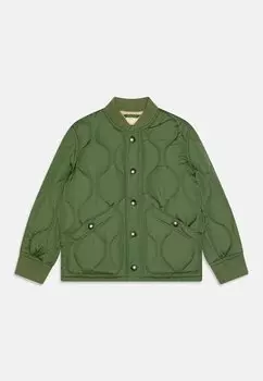 Зимняя куртка BOYS GAP, цвет foliage green