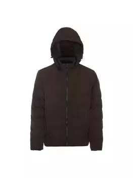 Зимняя куртка braelyn, цвет espresso