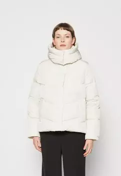 Зимняя куртка Calvin Klein