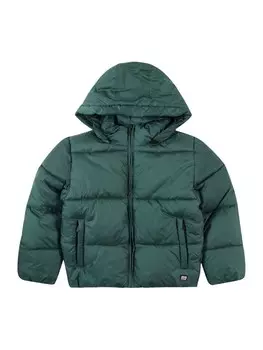 Зимняя куртка Cars Jeans SOYMAS, цвет Fir