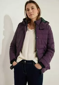 Зимняя куртка Cecil, цвет pink