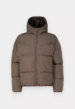 Зимняя куртка CHANNEL Hollister Co., коричневый