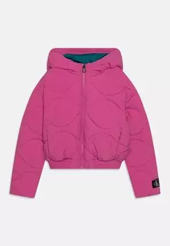 Зимняя куртка COLOUR BLOCK PUFFER Calvin Klein Jeans, цвет violet fun