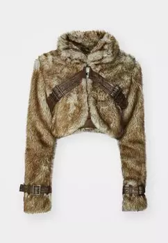 Зимняя куртка CROPPED JACKET Jaded London, коричневый