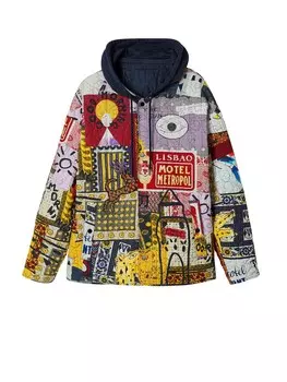 Зимняя куртка Desigual, разноцветный