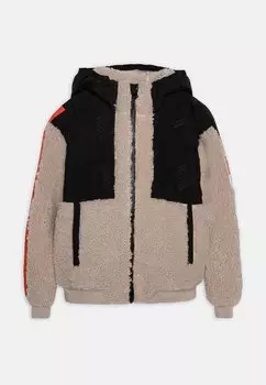 Зимняя куртка EA7 Emporio Armani, песочный