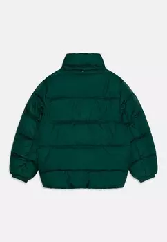 Зимняя куртка ESSENTIAL Tommy Hilfiger, темно-зеленый