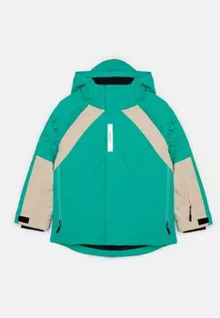 Зимняя куртка Famous Dog Gosoaky, цвет pool green