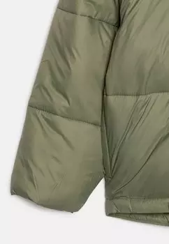 Зимняя куртка FOREVER THIS YOUNG Roxy, зеленый