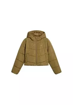 Зимняя куртка FOUNDRY CROP Vans, темно-зеленый