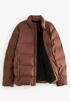 Зимняя куртка FUNNEL NECK Next, коричневый