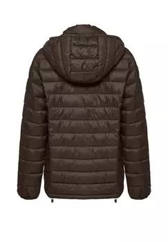 Зимняя куртка HOODED CHARLES Polo Club, коричневый