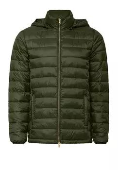 Зимняя куртка HOODED CHARLES Polo Club, зеленый