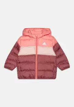 Зимняя куртка INFANT UNISEX adidas, розовый