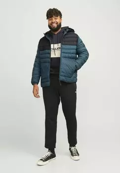 Зимняя куртка Jack & Jones, темно-зеленый