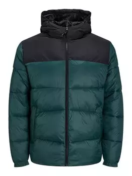 Зимняя куртка JACK & JONES Winter Jacket Chili, темно-зеленый
