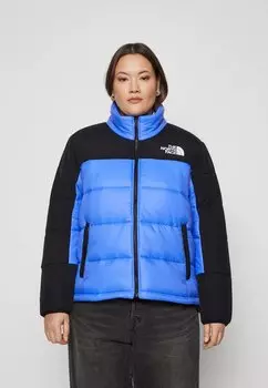 Зимняя куртка JACKET The North Face, цвет solar blue/black