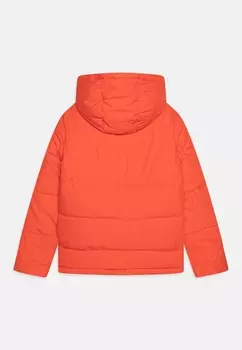 Зимняя куртка JJWORLD PUFFER Jack & Jones Junior, красный