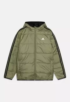 Зимняя куртка JUNIOR UNISEX adidas, оливковый