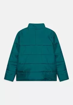 Зимняя куртка Junior Unisex adidas Originals, Legacy бирюзового цвета