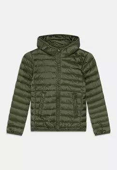 Зимняя куртка Kappa, оливковый