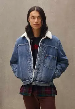 Зимняя куртка Levi's TYPE 1 TRUCKER UNISEX, цвет fall break