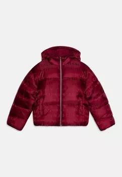 Зимняя куртка LOGO PUFFER Calvin Klein, красный