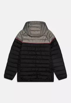 Зимняя куртка LOMBARDY Ellesse, серый