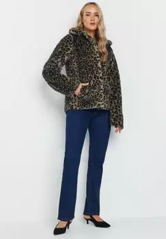 Зимняя куртка Long Tall Sally, коричневый