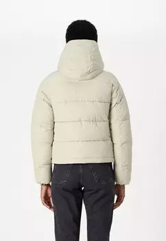 Зимняя куртка MATTE MONOLOGO PUFFER SHORT Calvin Klein Jeans, кремовый