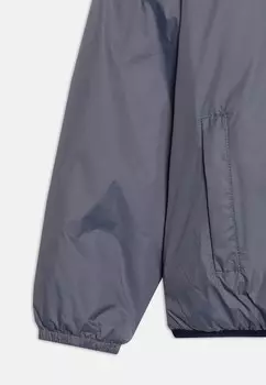 Зимняя куртка P. LE VRAI 3.0 CLAUDE ORSETTO UNISEX K-Way, сине-серый