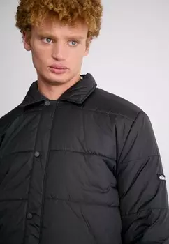 Зимняя куртка PAVARDO Ellesse, черный