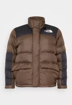 Зимняя куртка PLUS LIMBARA JACKET The North Face, коричневый