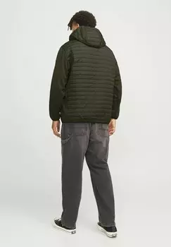 Зимняя куртка PLUS SIZE Jack & Jones, оливковый