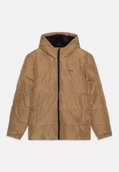 Зимняя куртка PUFFER BOSS Kidswear, бежевый